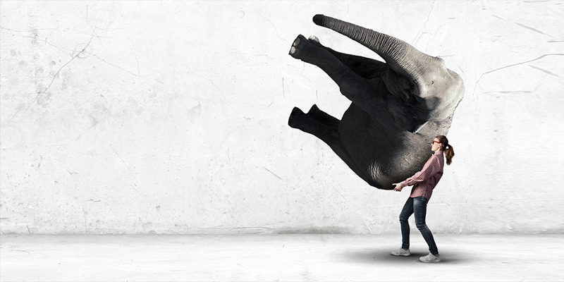 ‘Your size doesn’t matter but your confidence does’ – 35 quotes from Indian startup journeys