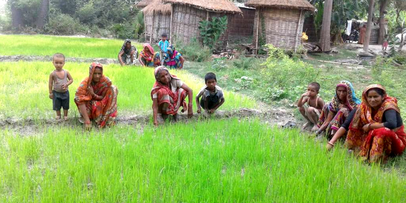 Rice bankers of Muzaffarpur hold out hope for women’s empowerment