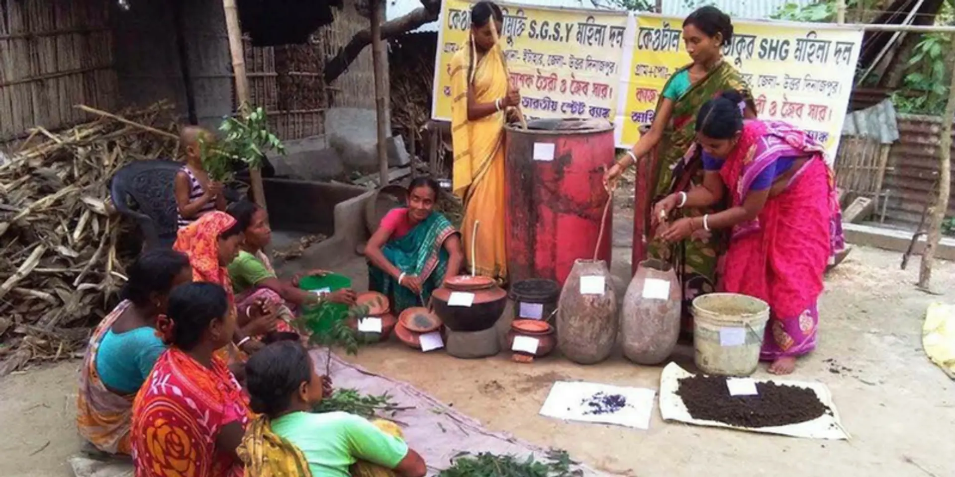 In Bengal, women farmers deploy ducks to super-charge rice cultivation