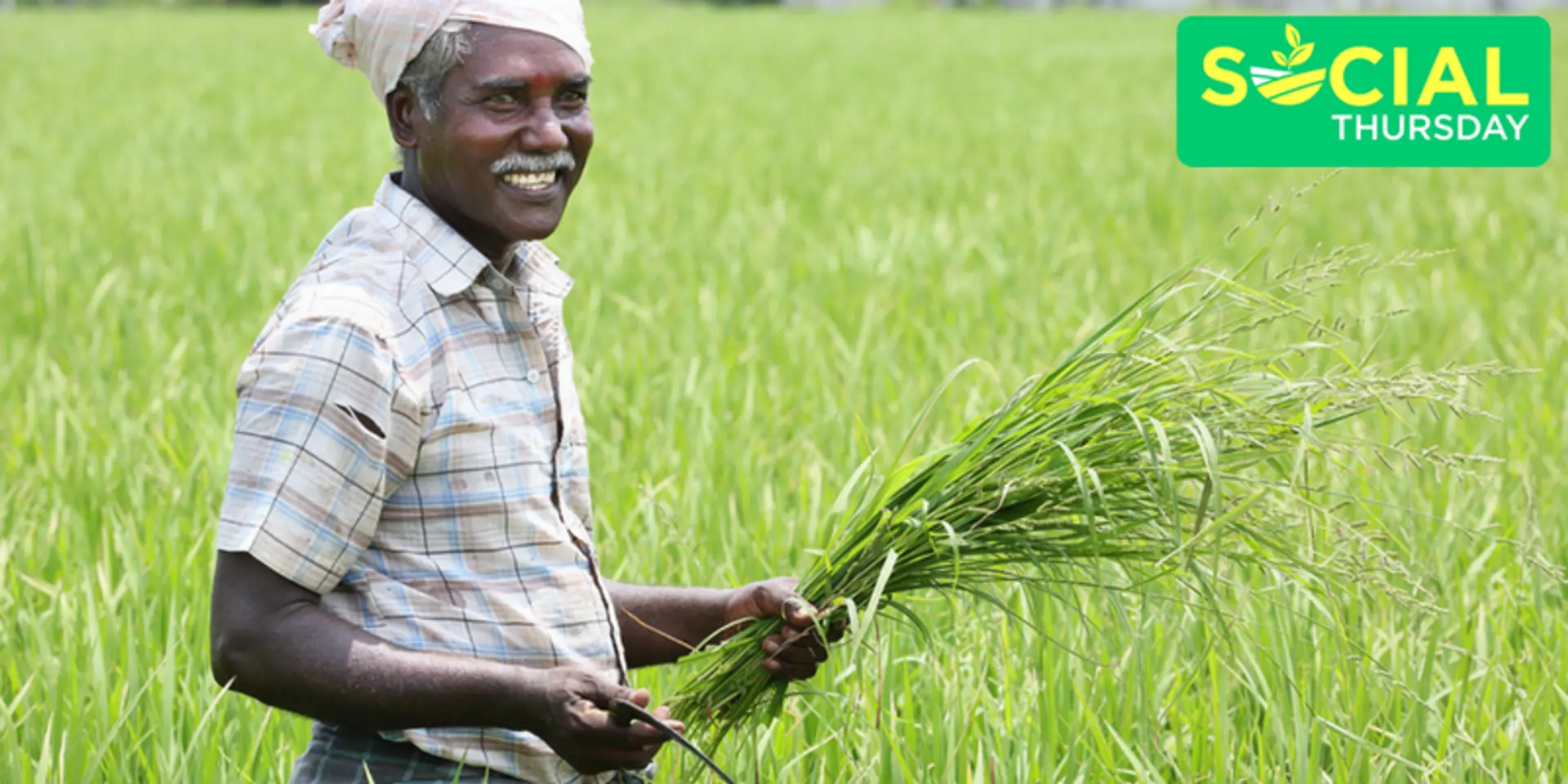 Not just health, Superfoods are here to change Indian agriculture too