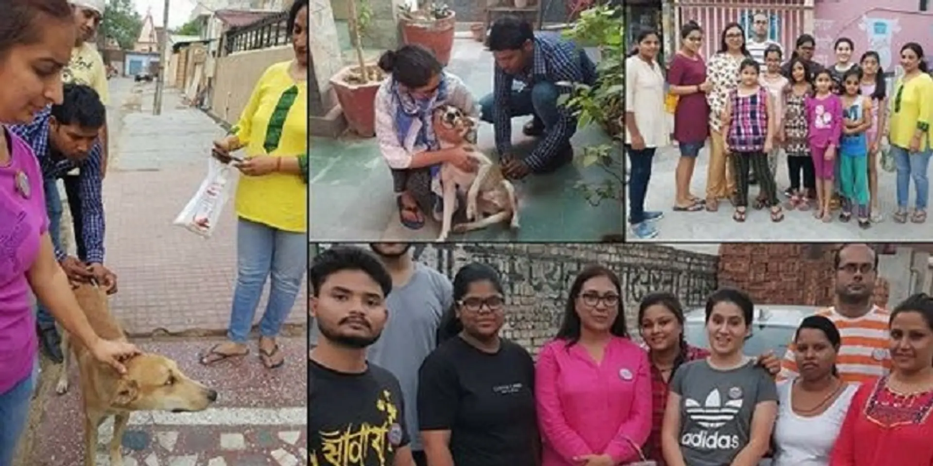 In a dog-eat-dog world, this Agra woman prioritises animal welfare above everything else