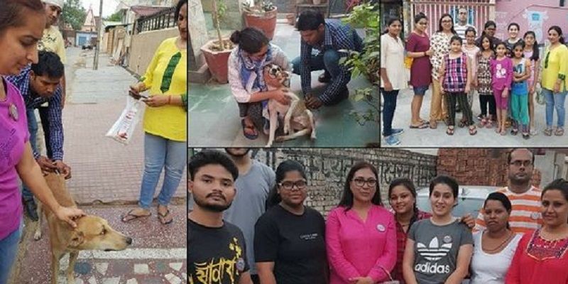 In a dog-eat-dog world, this Agra woman prioritises animal welfare above everything else