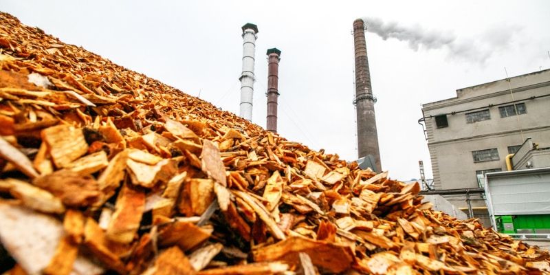 Govt to set up National Mission on biomass use in power plants