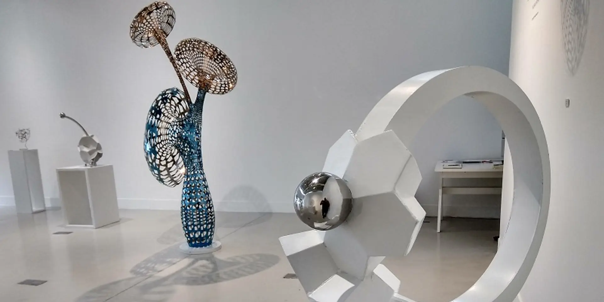 ‘There are no boundaries between maths, science and art’ – Kalyan Rathore, industrial designer and artist