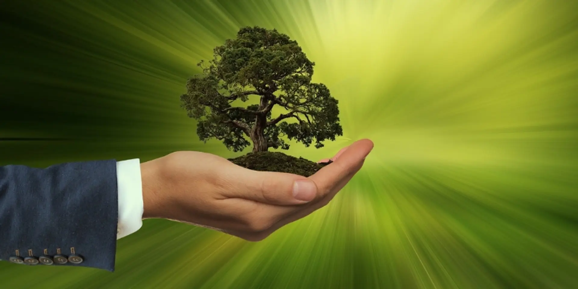 Investigating how sustainability directly impacts financial performance