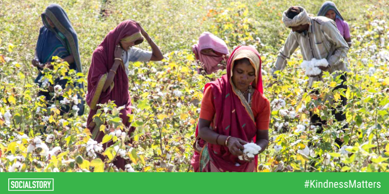 This foundation sowed the seeds of organic cotton farming for farmers to reap rich results