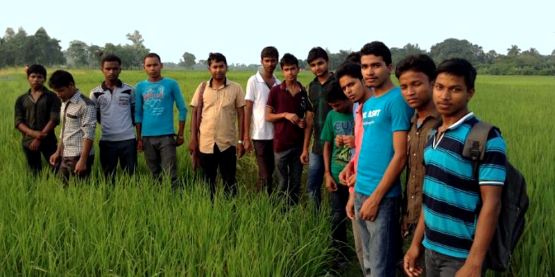 Bengal youth lead revival of heritage rice varieties