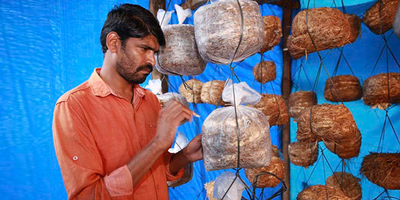 Defying all odds, from poverty to loss of eyesight, this youngster rewrote his destiny to own a mushrooming business