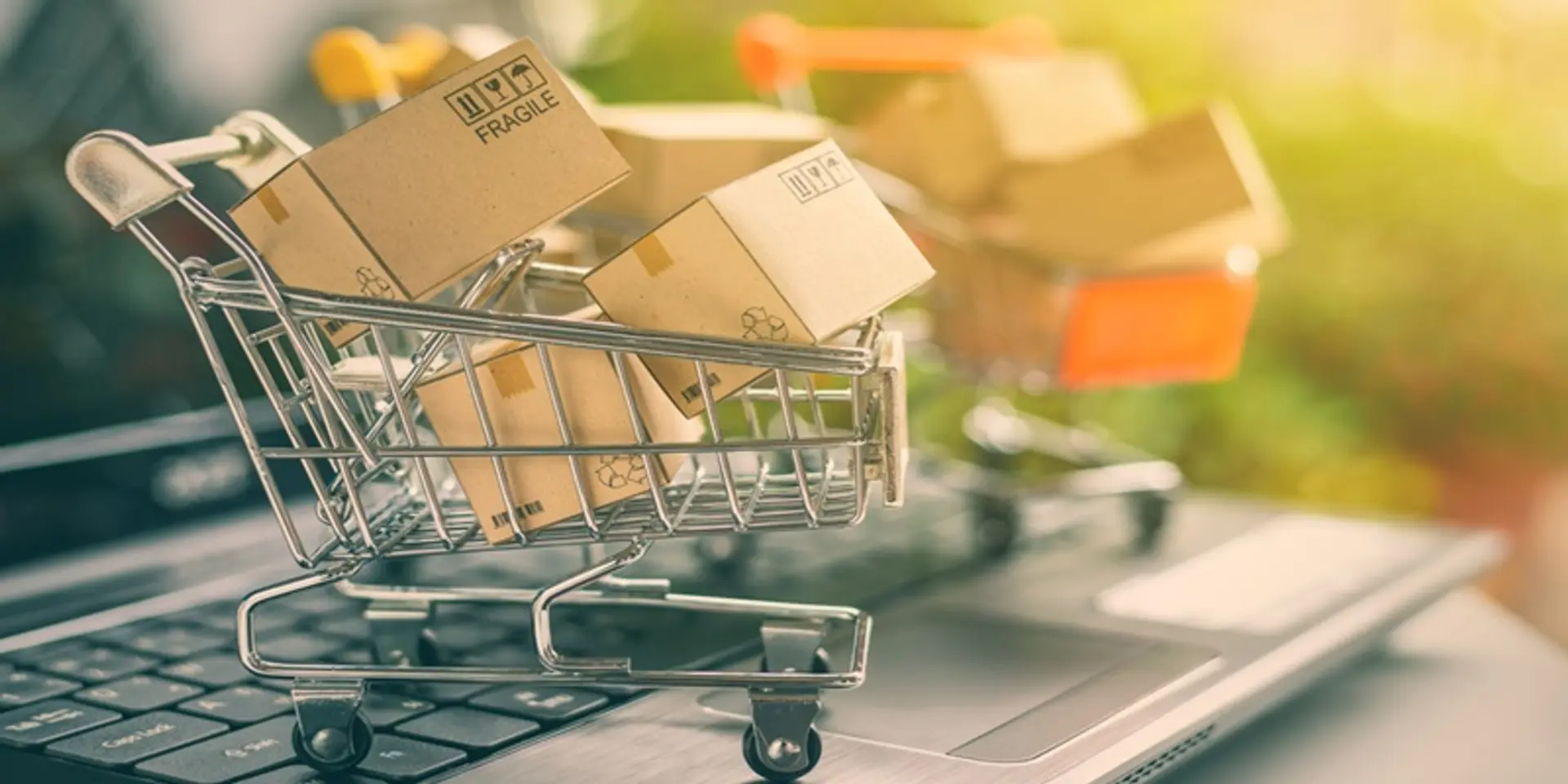 Govt to come out with national ecommerce policy within 12 months