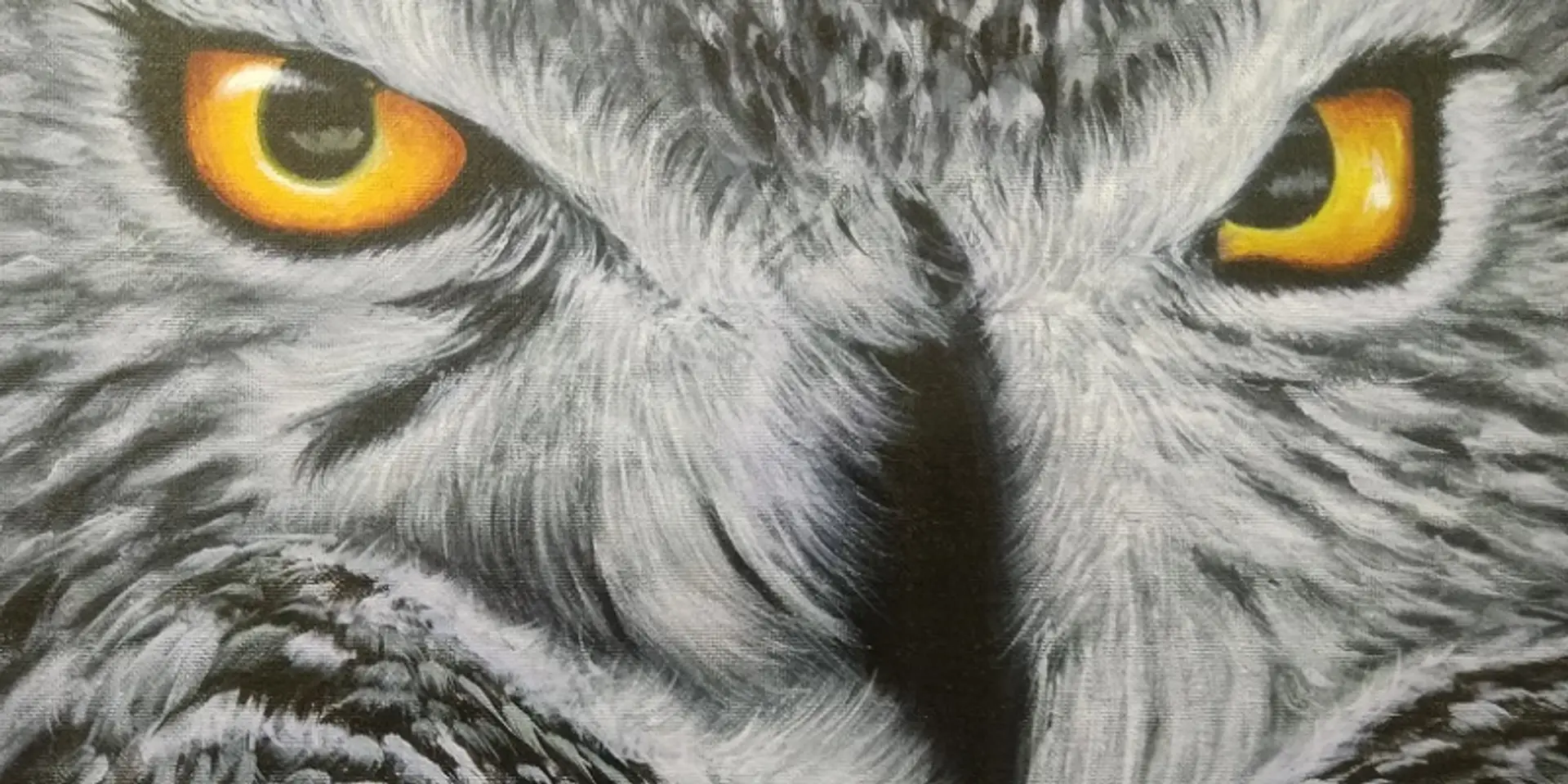 ‘Success is being able to inspire others’ – Pavitha Ashwin, nature artist