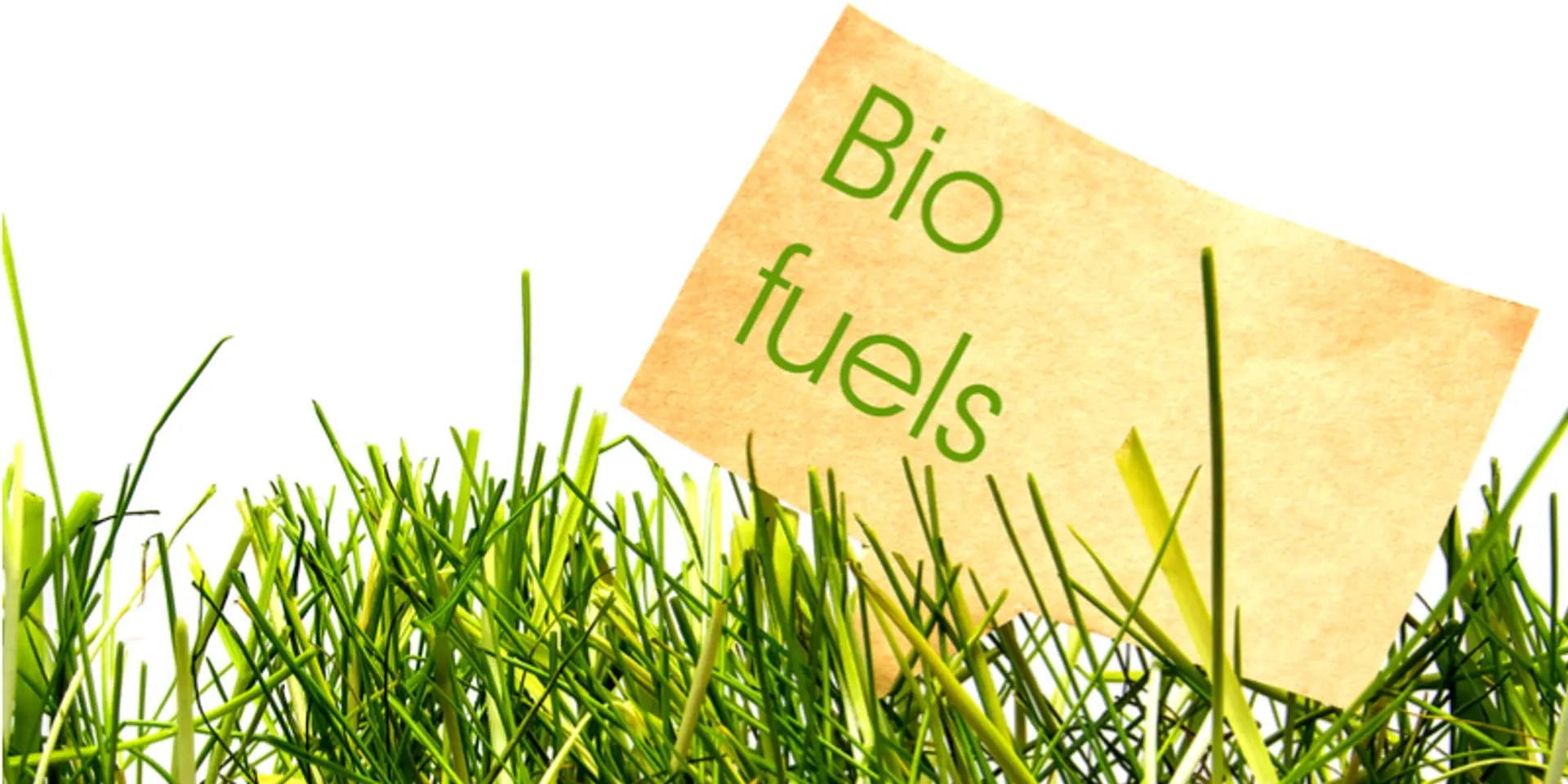 Cash for trash: why India should swap out crude imports with biofuels and waste-to-energy