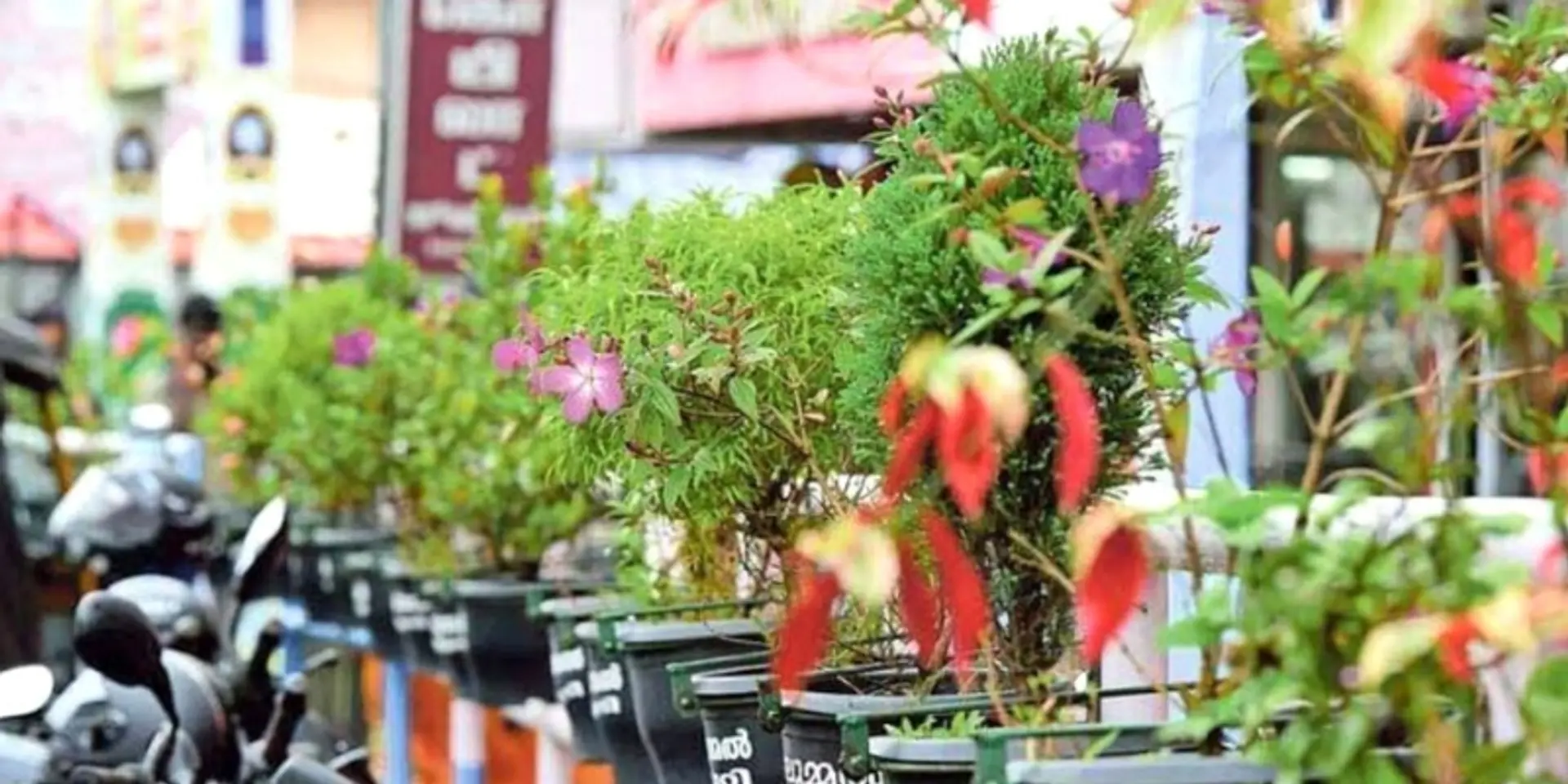 This small town in Kerala is showing how to keep public spaces clean