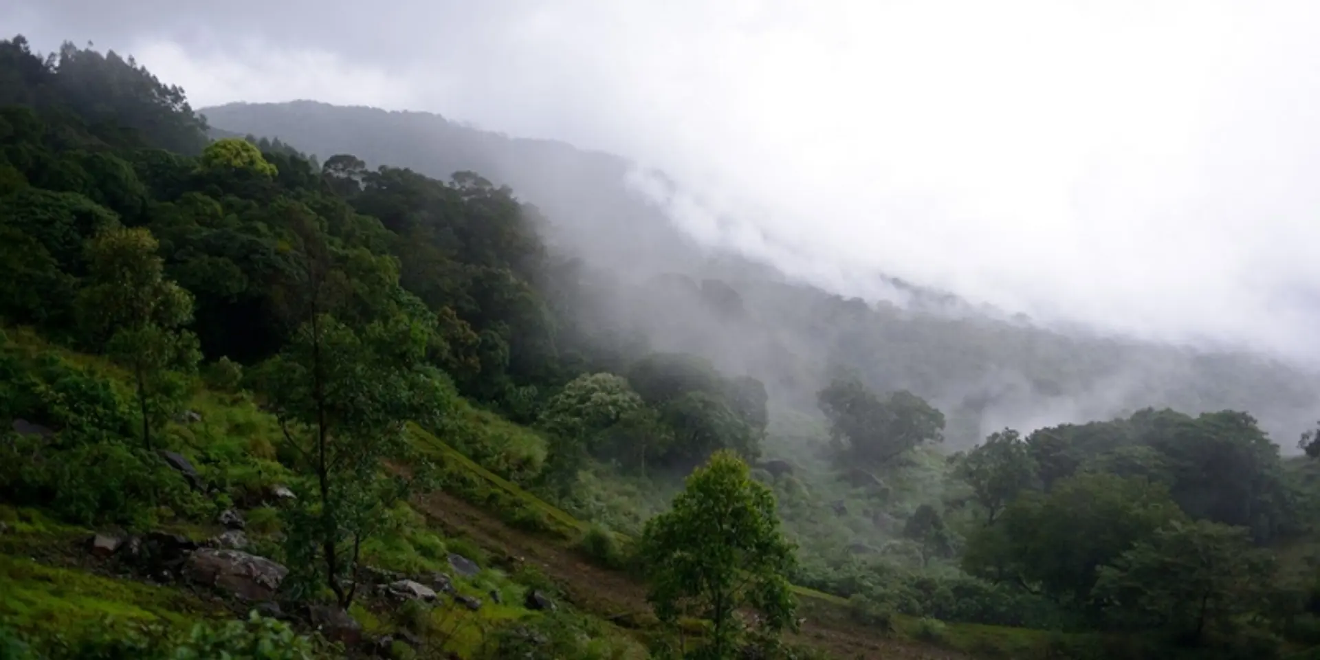 IIT Bombay discovers geothermal energy source among geysers of Maharashtra’s Western Ghats