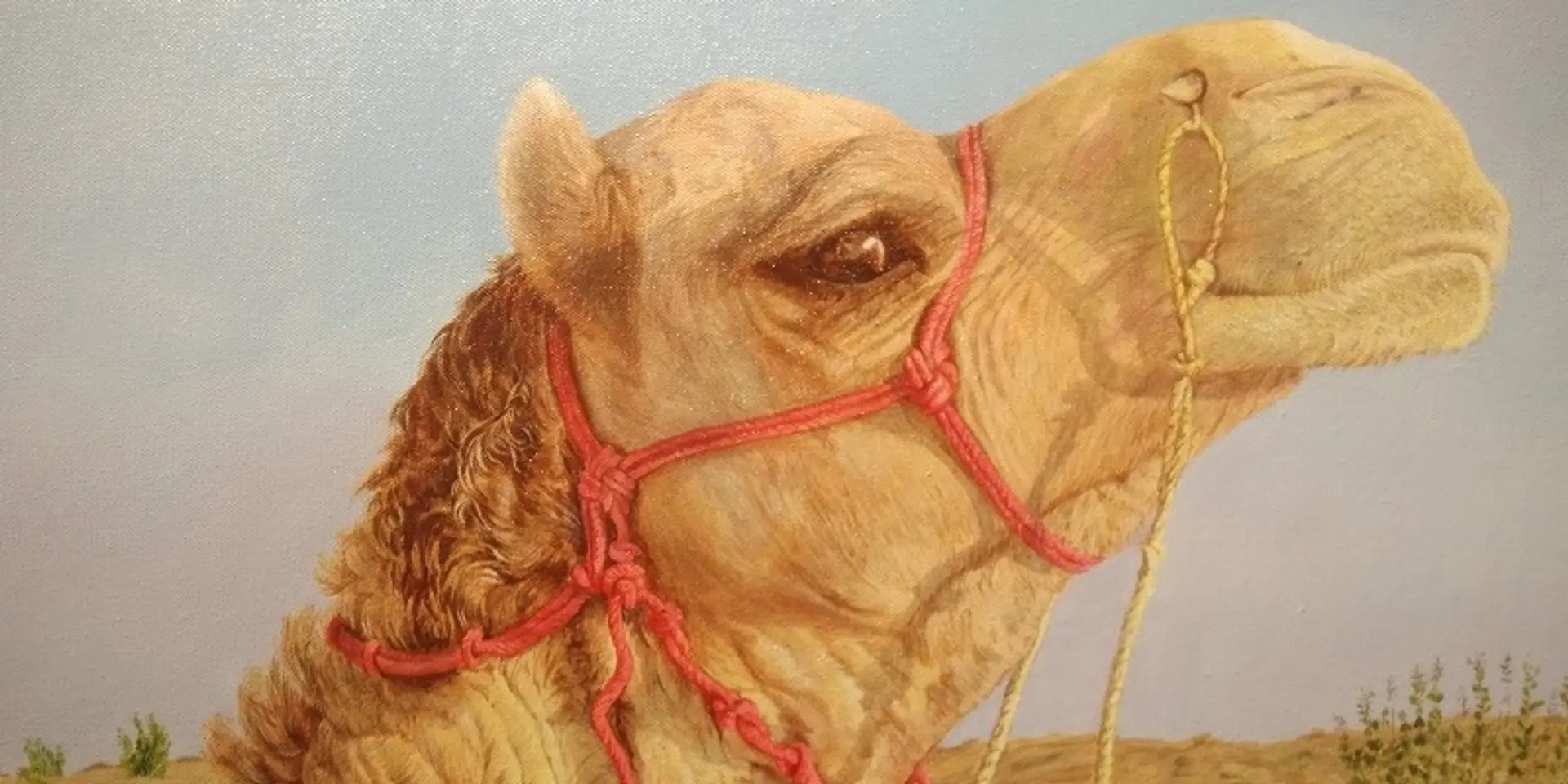 Sincerity, sensitivity, storytelling: pointers to success from the Oorja painters