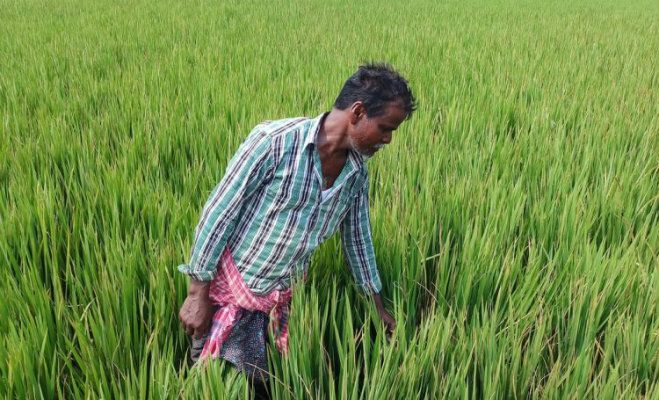 Farmers in West Bengal stare at huge losses due to severe water crisis