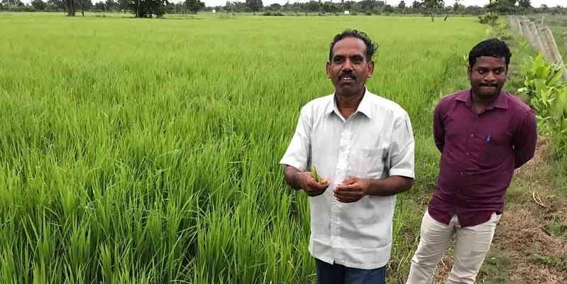 These farmers in coastal Tamil Nadu tackle salinity using innovative and organic practices