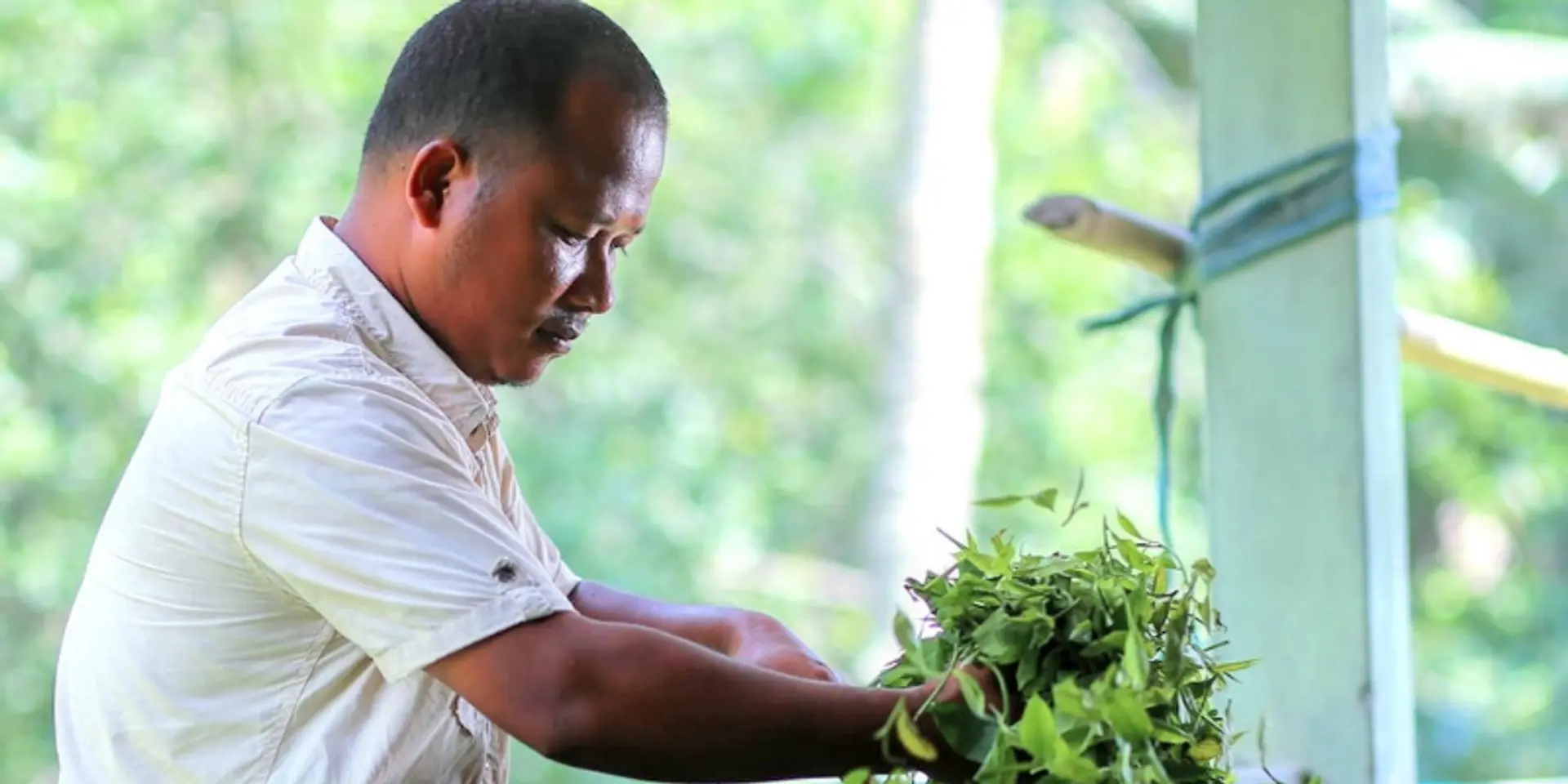 Meet 28-year-old Tenzing Bodosa who turned organic tea into a fortune