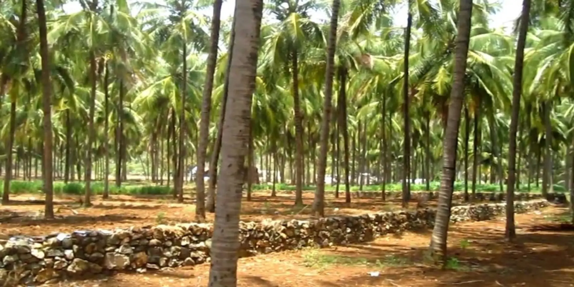Meet 5 startups that are helping farmers with new-age and innovative agricultural practices