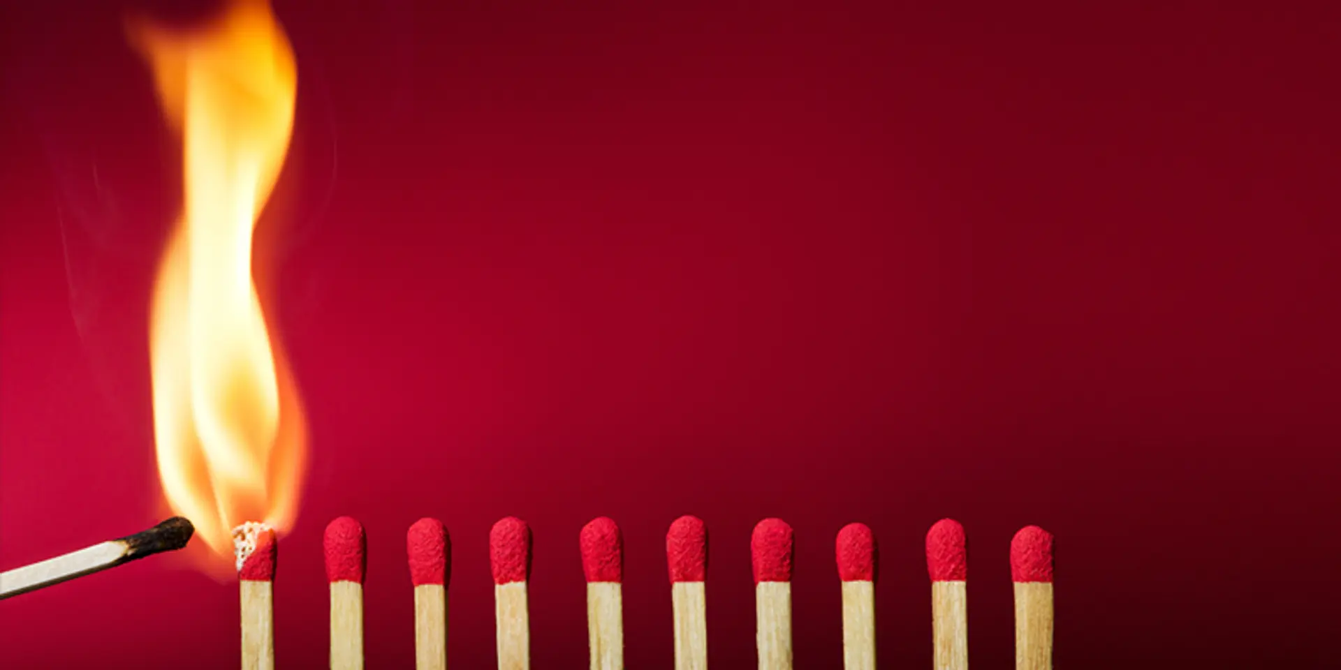 ‘Cooking Maggi will not make you a cook' – 55 quotes from Indian startup journeys