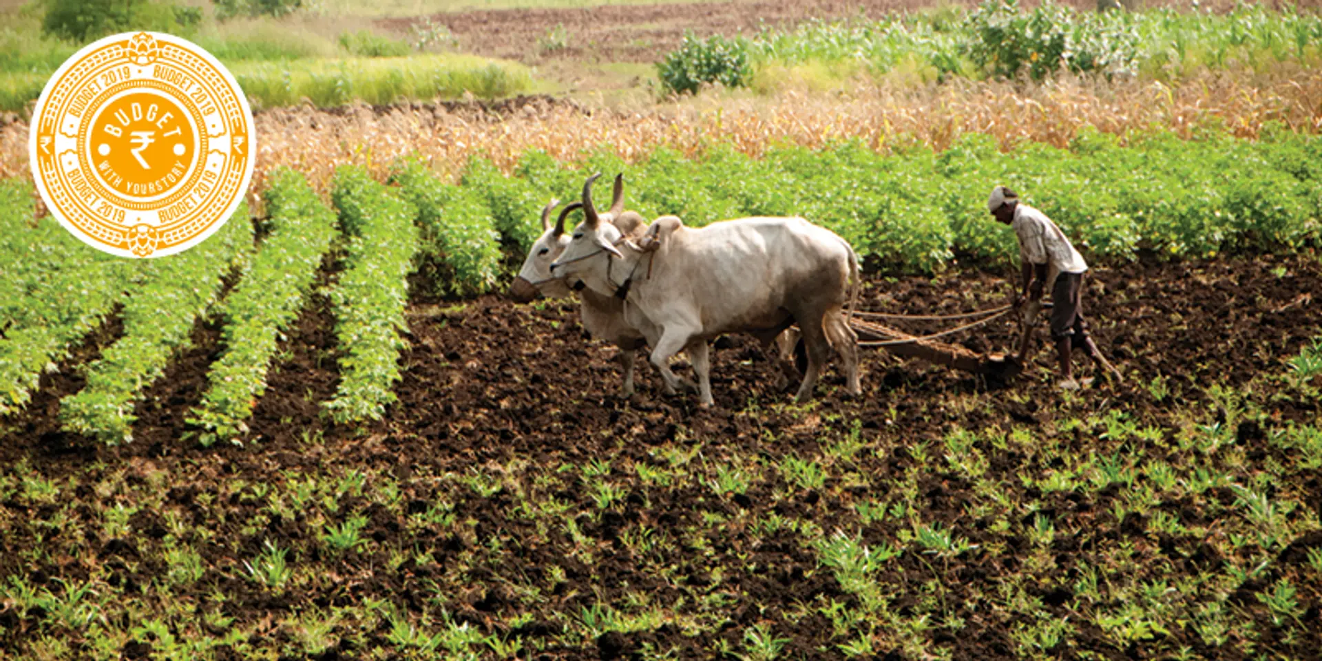 Interim Budget 2019: Modi government's big announcements for agri sector