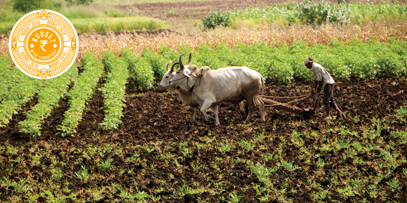 Interim Budget 2019: Modi government's big announcements for agri sector