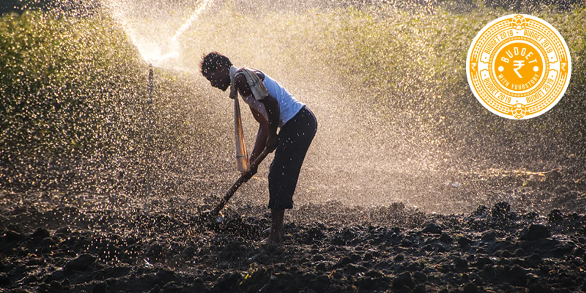 In election year, Finance Minister Piyush Goyal hits a sixer to woo the farming community