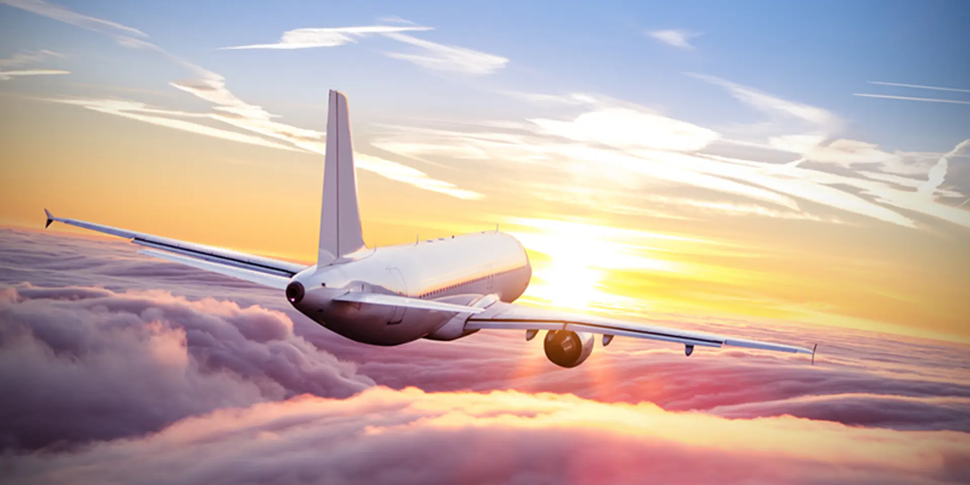 Two businessmen give wings to their villagers’ dreams, fly 120 senior citizens for the first time