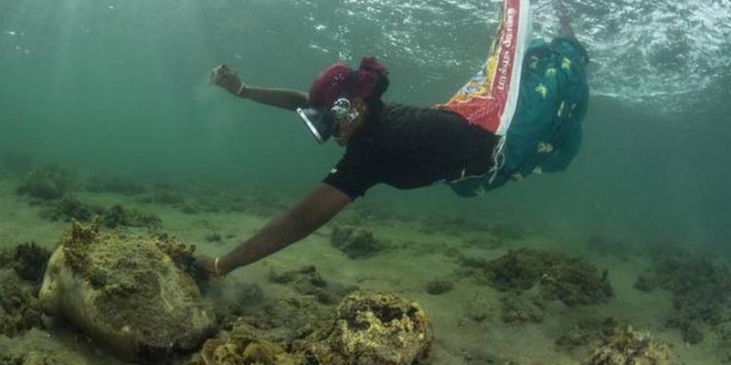Diving deep for a living: Meet Tamil Nadu’s saree-clad women seaweed collectors