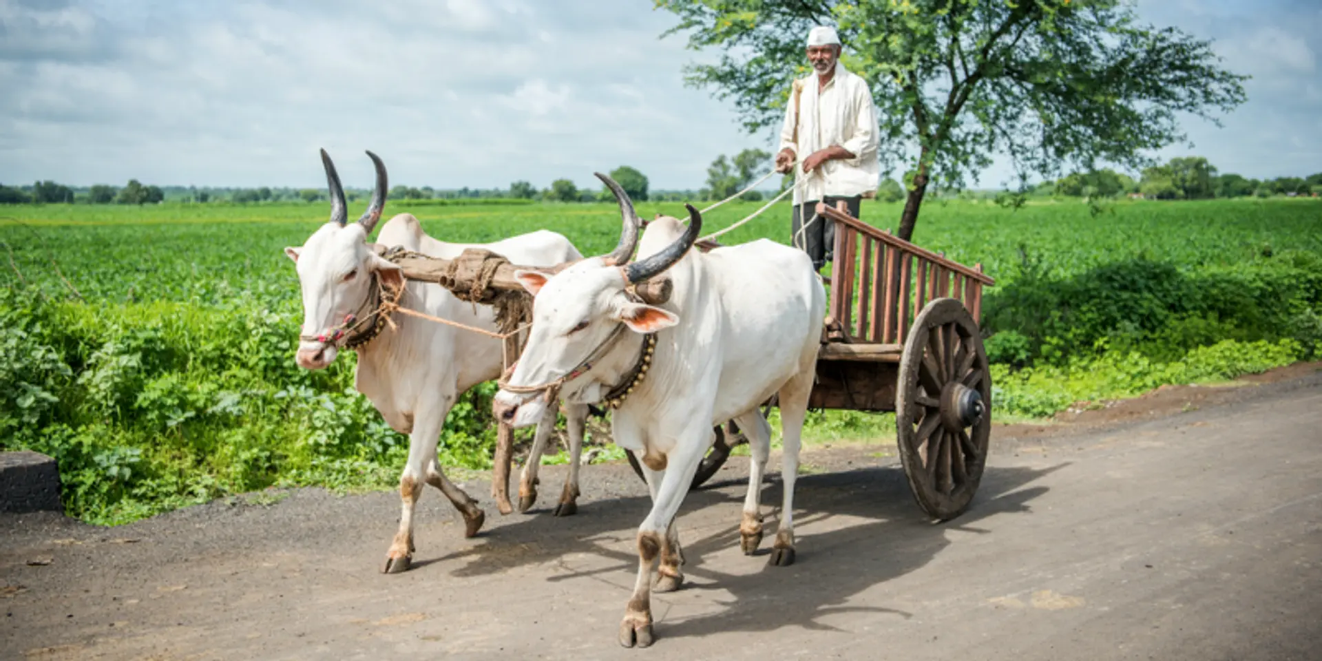 Here’s why we must decode a farmer’s balance sheet and focus on innovations to improve his financial health
