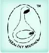 Healthy Mother Logo