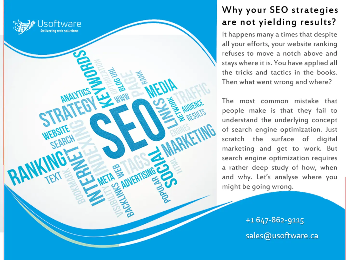 search engine optimization brampton