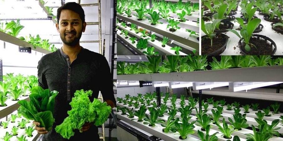 अपनी कंपनी बंद कर गोवा के अजय नाइक ने शुरू की जैविक खेती, कमा रहे लाखों का मुनाफा