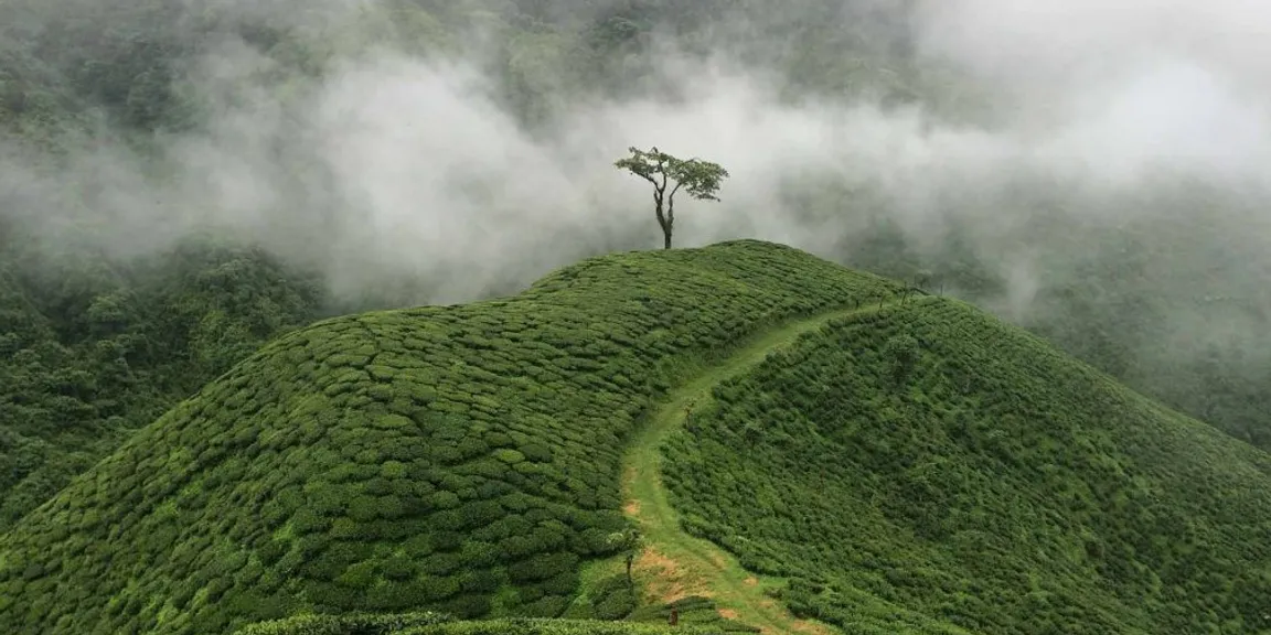 Darjeeling – The land of tea gardens, toy trains & tempting views