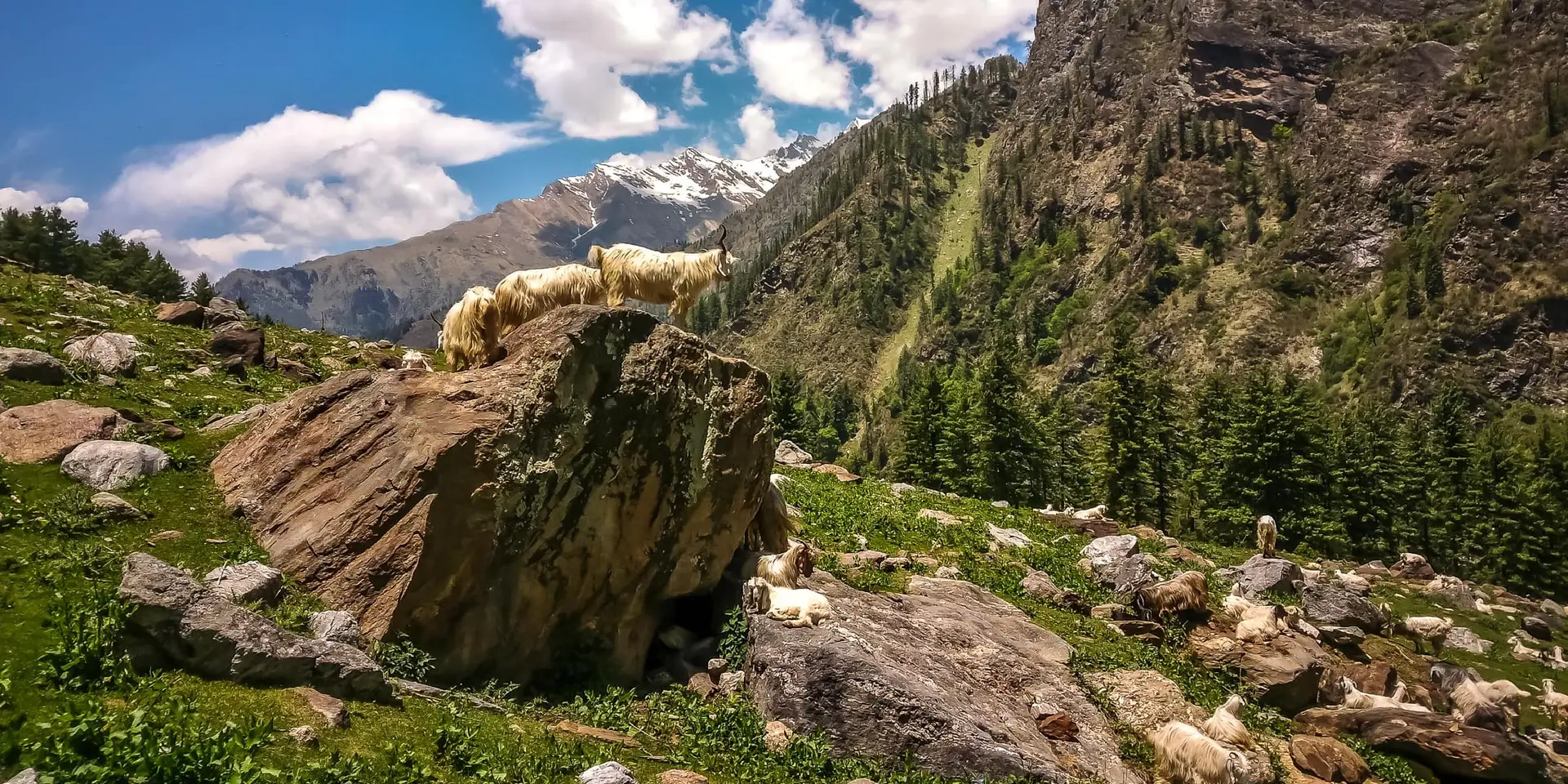 5 places to visit in Kasol & around for the trekkers