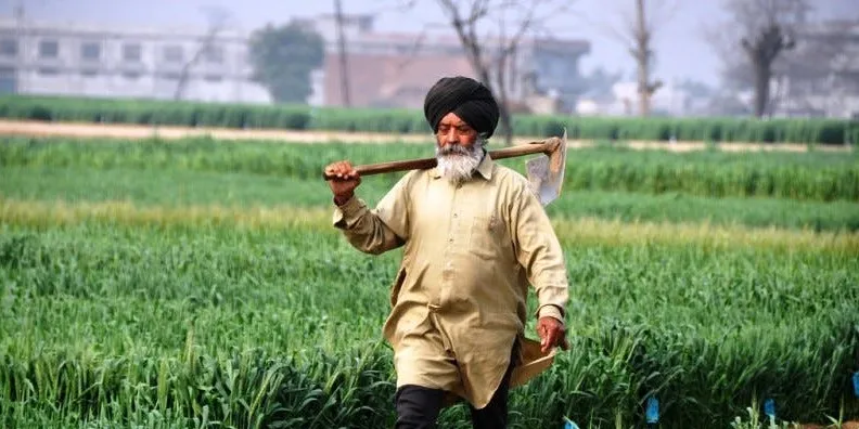 सांकेतिक तस्वीर