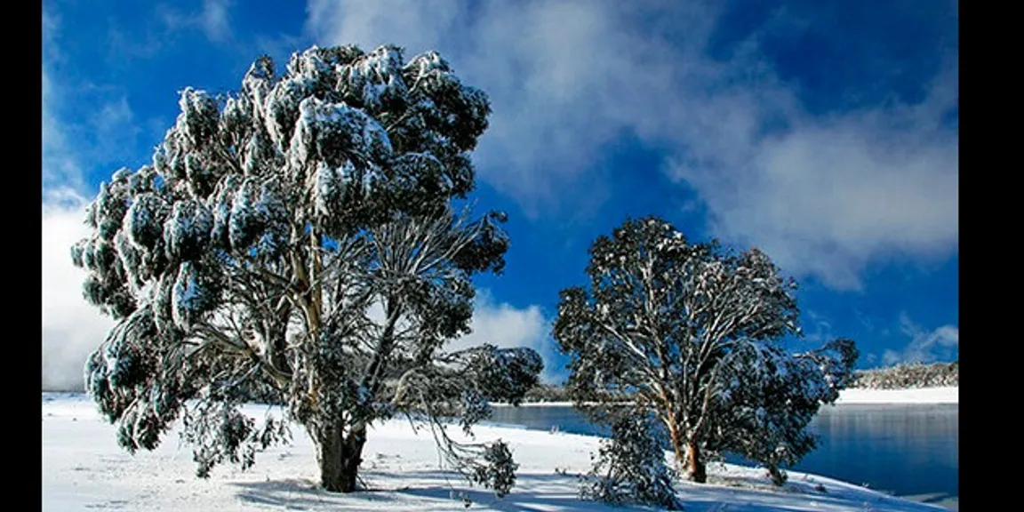 Imperative considerations while choosing a snowy mountains day tour bus service In Canberra
