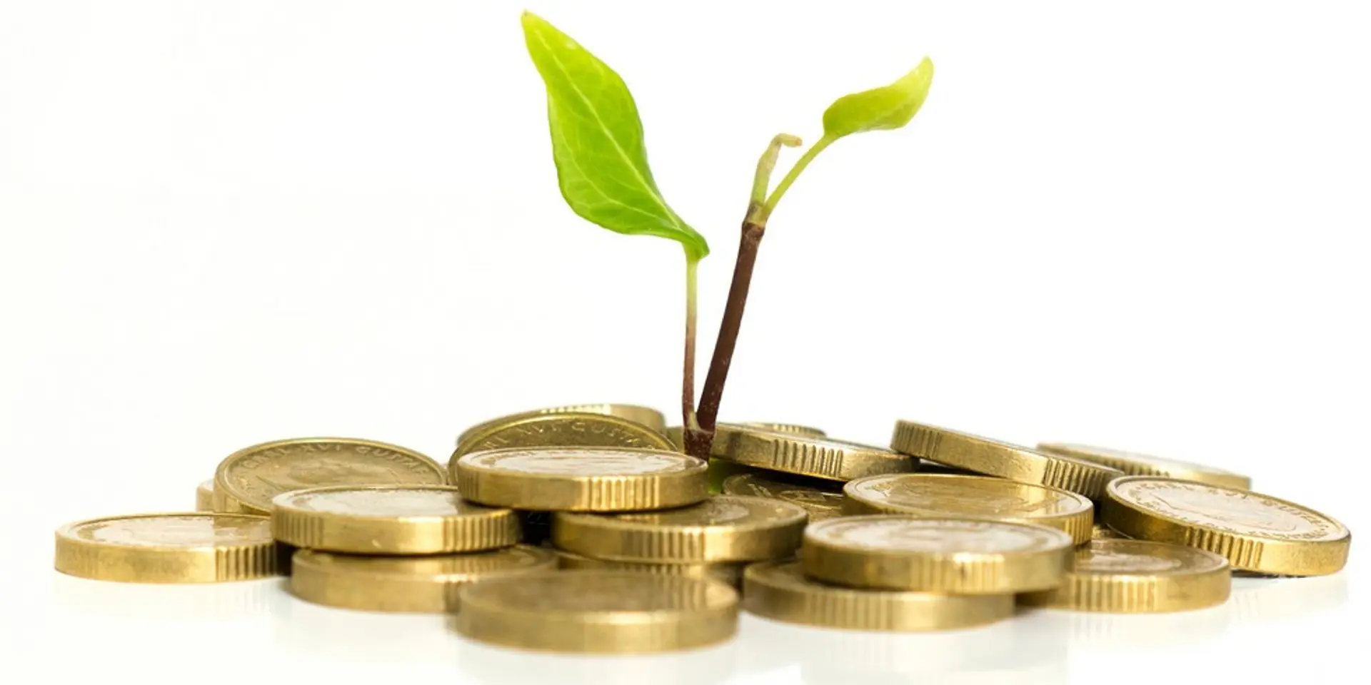 Feeling lost about your investment gains? Let’s talk about NPV, IRR and more…
