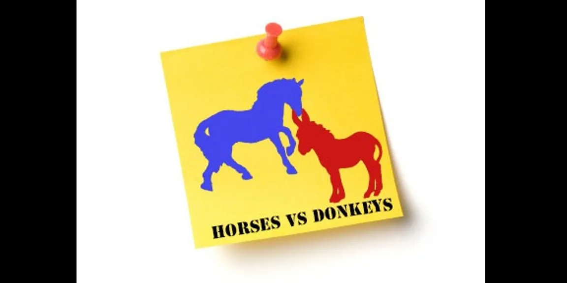 Horses or Donkeys - Who does an organization need?
