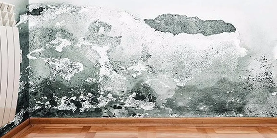 Freshen up your house – remove the mold