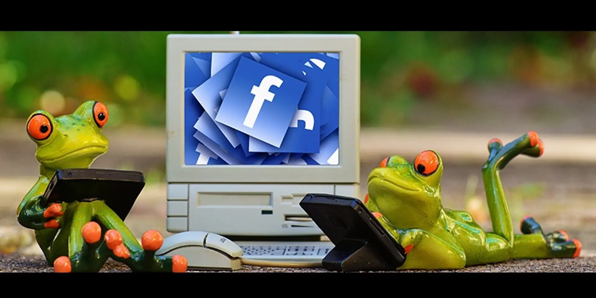 10 sure-fire ways to increase your Facebook fanbase