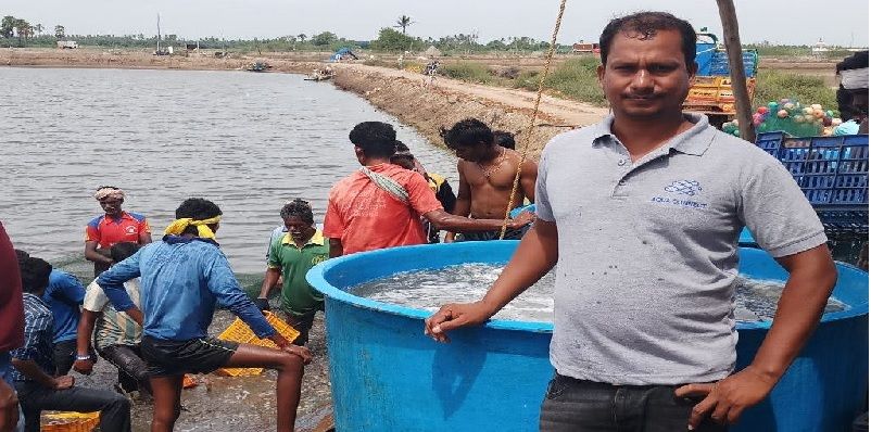 தமிழக இறால் வளர்ப்பு விவசாயிகள் ஏற்றுமதி சந்தையை அணுக உதவும் சென்னை நிறுவனம்!