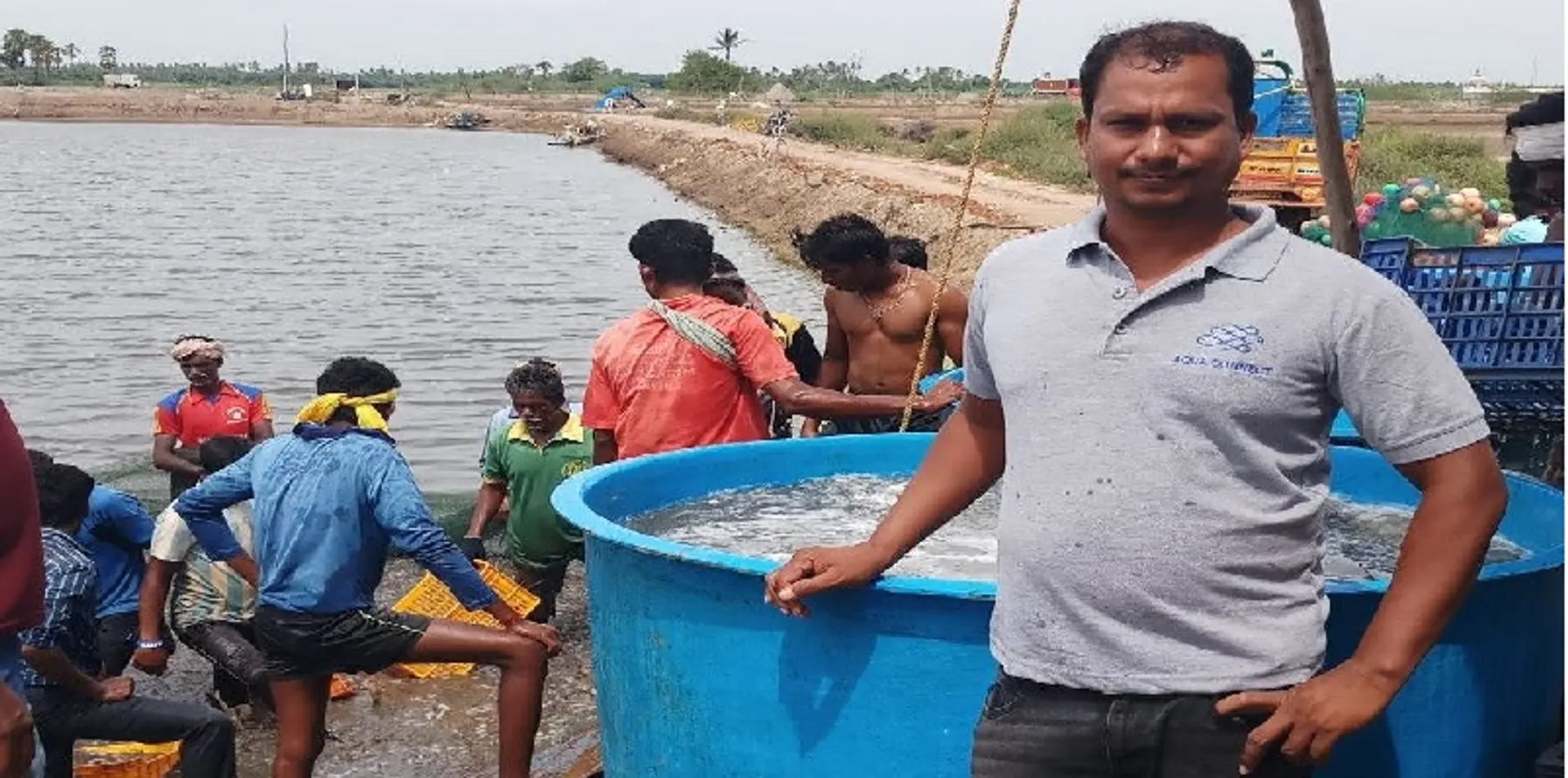 தமிழக இறால் வளர்ப்பு விவசாயிகள் ஏற்றுமதி சந்தையை அணுக உதவும் சென்னை நிறுவனம்!
