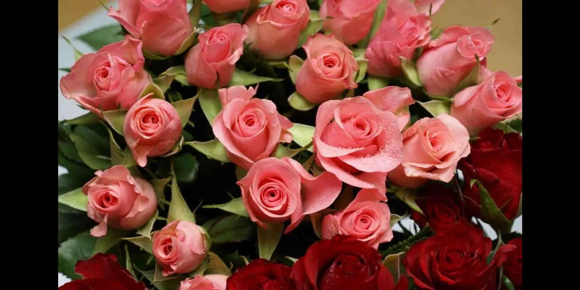 Express Your Love Through Your Gift