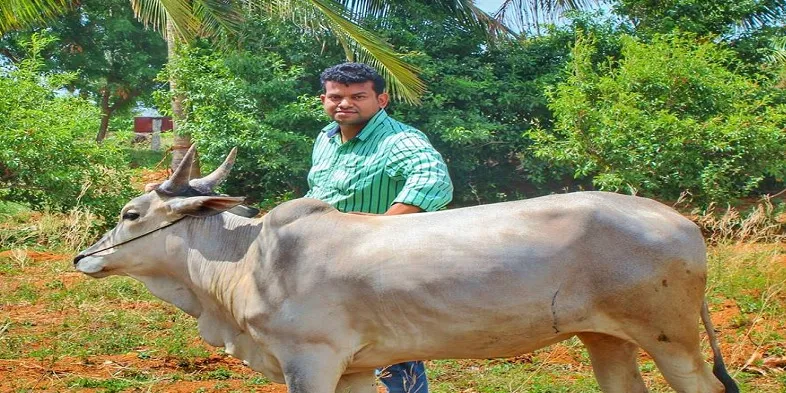 பிரதீப் குமார்
