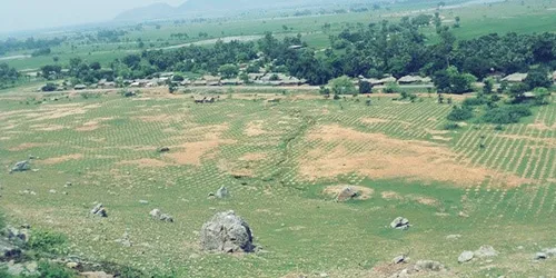 तो पहाड म्हणजे मुसहार आणि विकासातली सीमारेषाच होती तो पहाड म्हणजे मुसहार आणि विकासातली सीमारेषाच होती