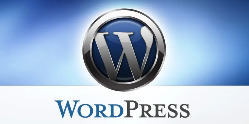 WordPress Error Solution