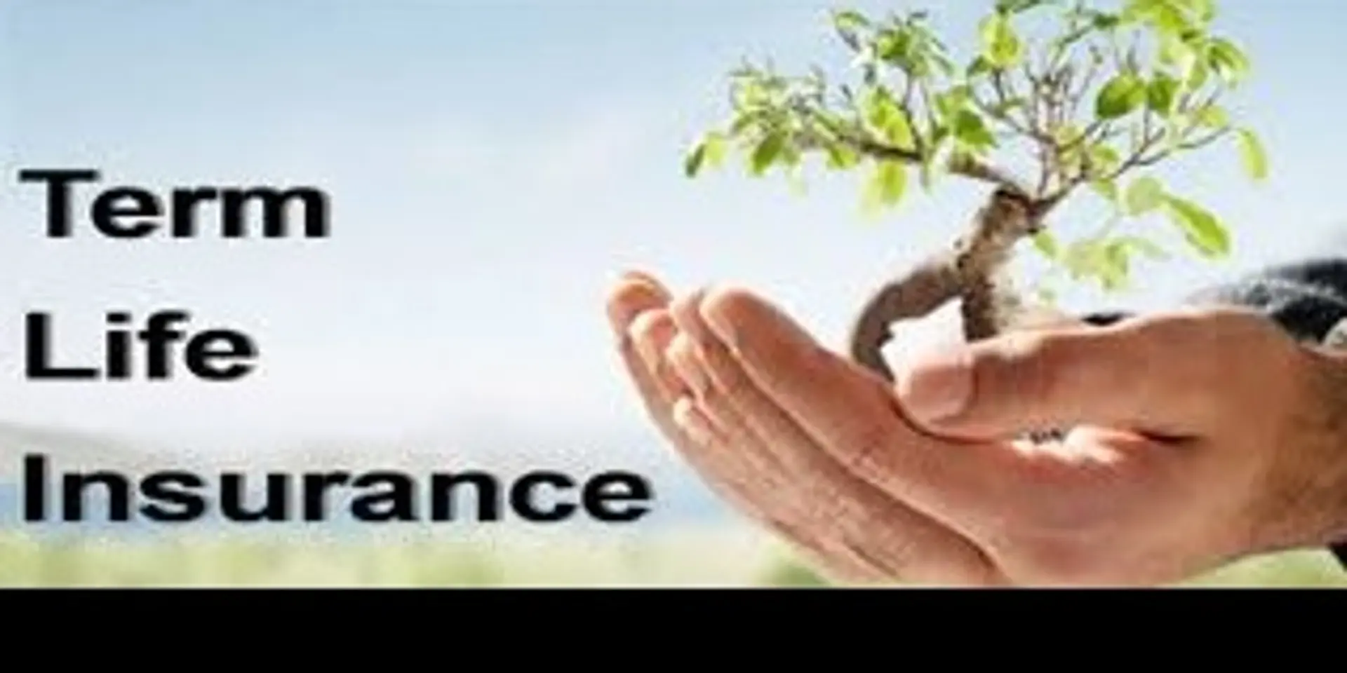 5 reasons to buy term insurance plan in your 30’s
