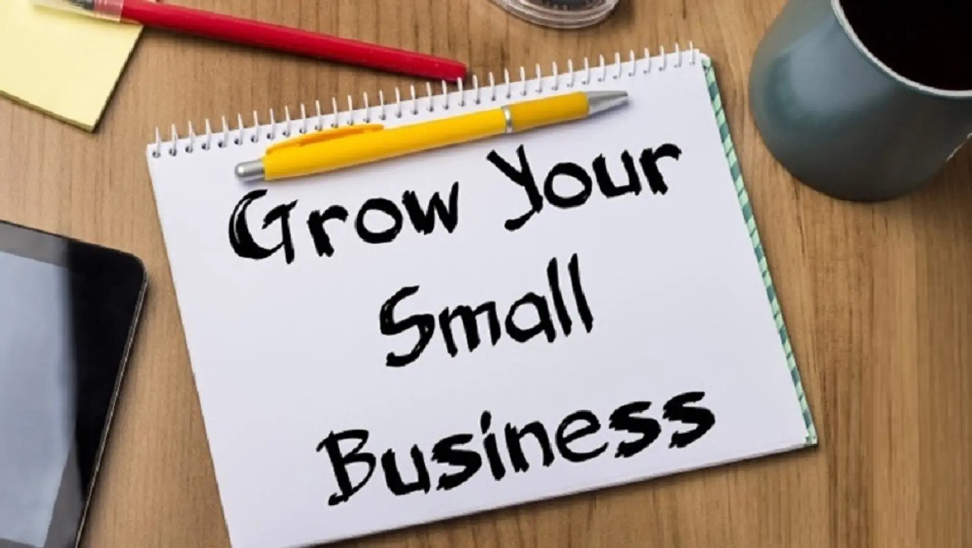 How can a small business take benefit of professional digital marketing services?
