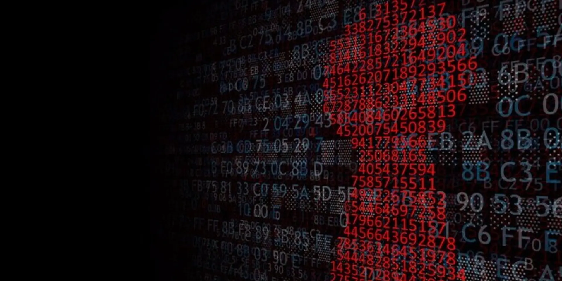 Become protected: How internet fraud works