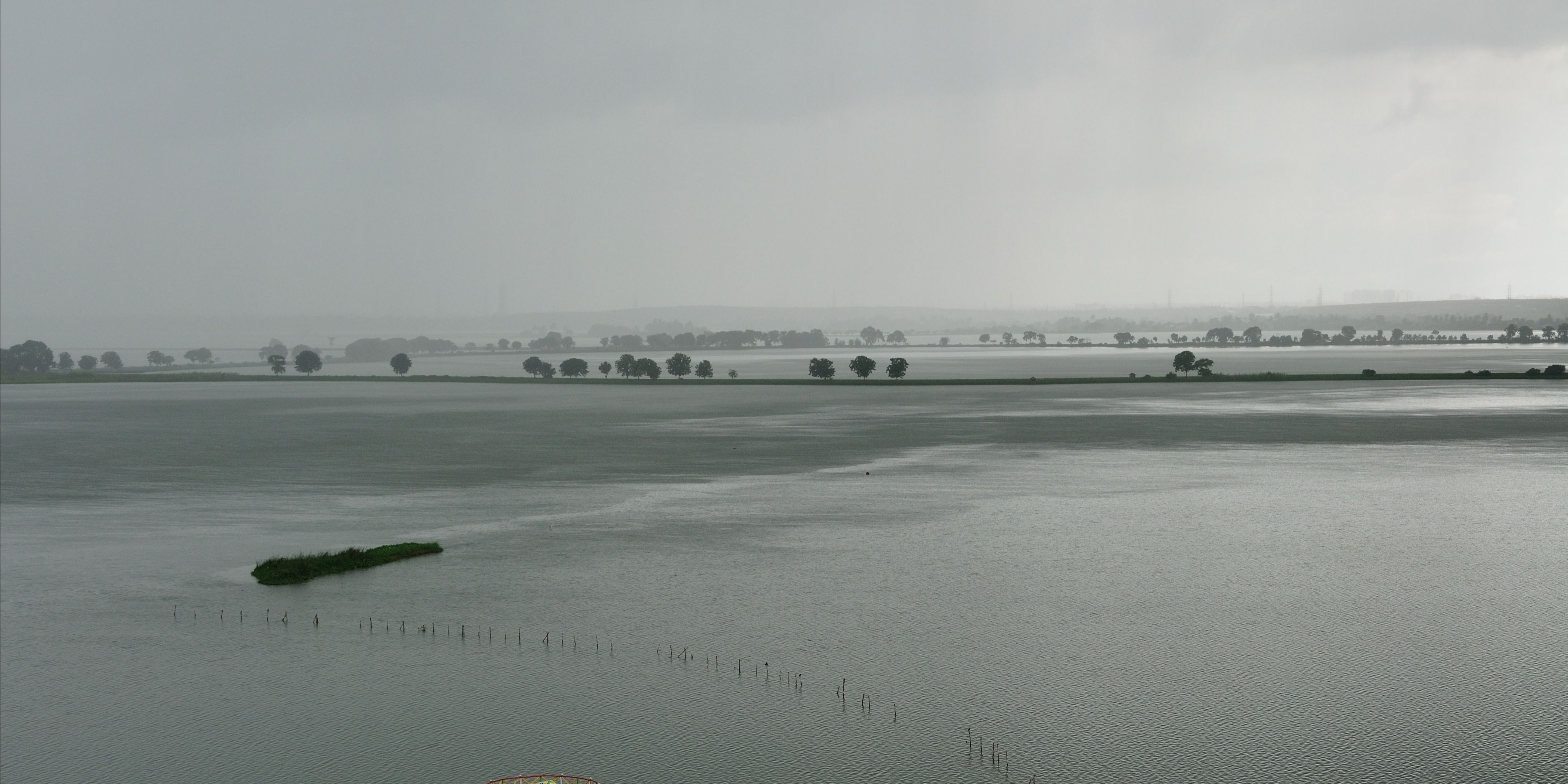 The lone warrior who saved the wetlands of Kolkata